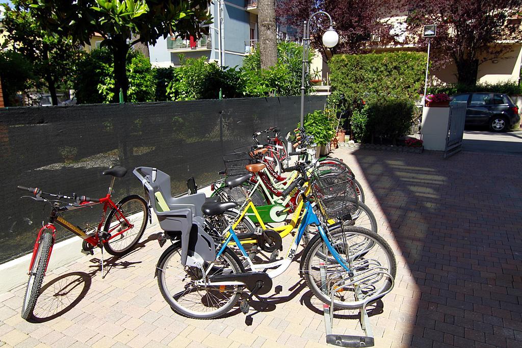 Hotel Bellerofonte Rimini Dış mekan fotoğraf